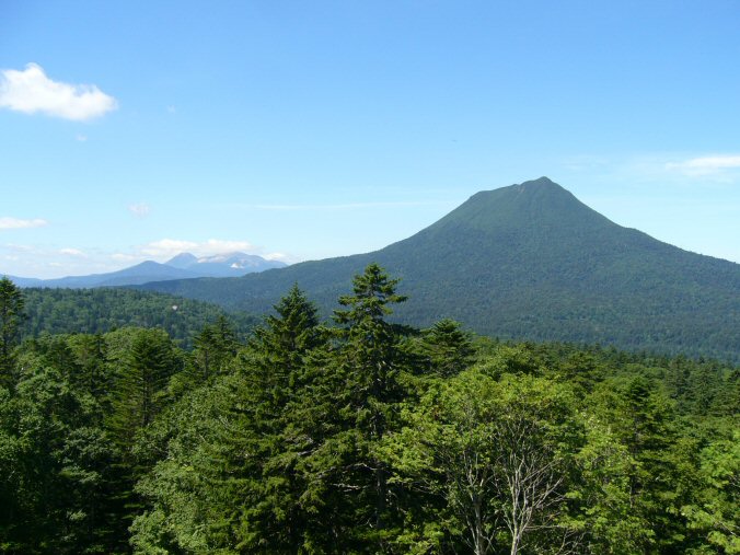 Sokodai