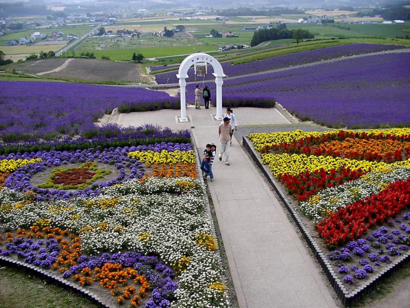 Hinode lavender garden