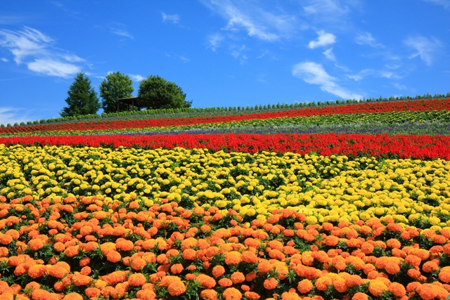 Kanno Farm