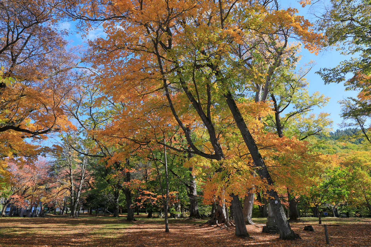 Torinuma Park