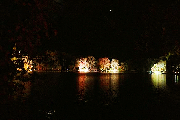 Hokuto Autumn Leaves Corridor