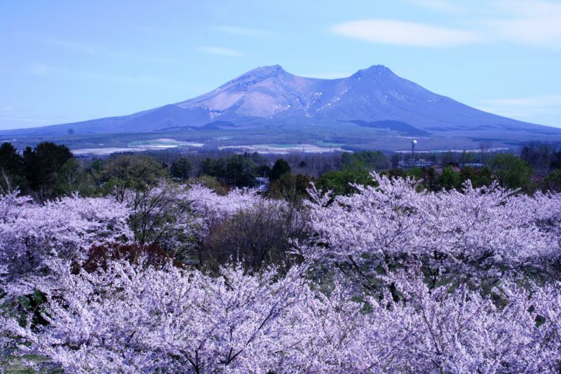 Mt. Komagatake