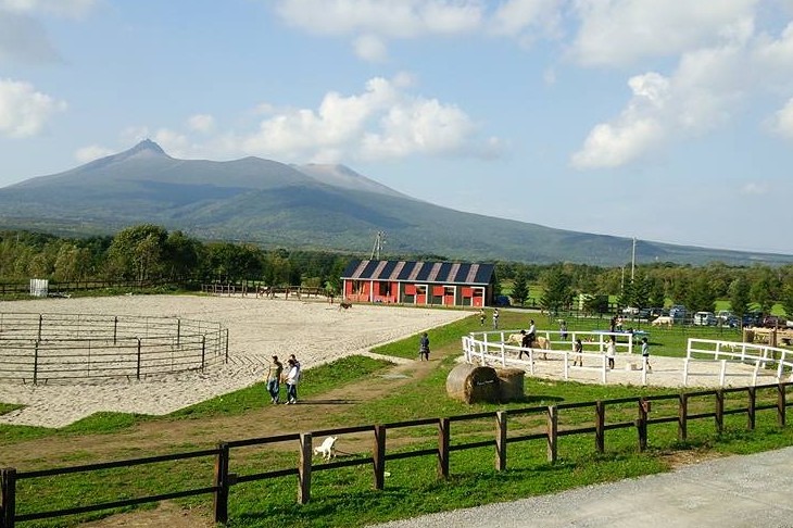 Paard Musée