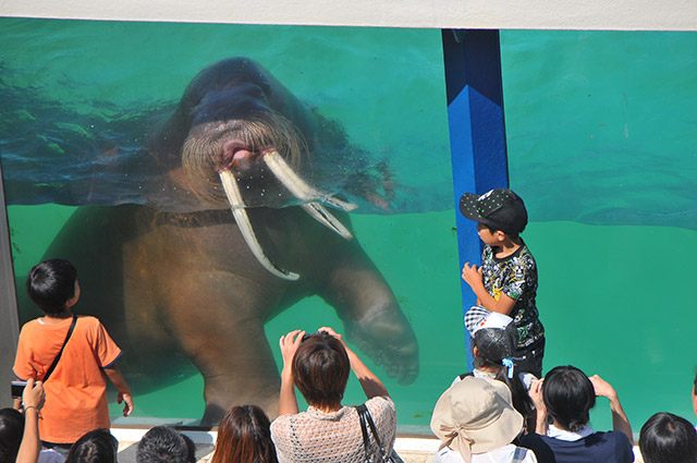 Otaru Aquarium