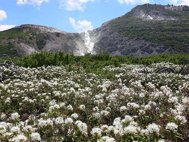 Mt. Ioh