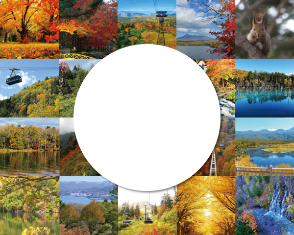 Search by photos
