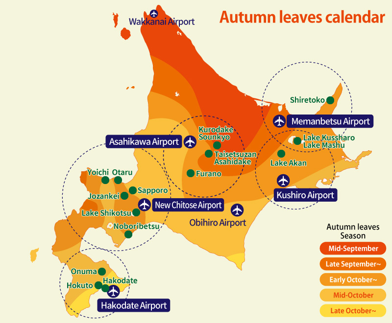 Autumn Leaf Spots in Hokkaido