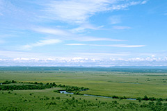 Kushiro Marshland National Park
