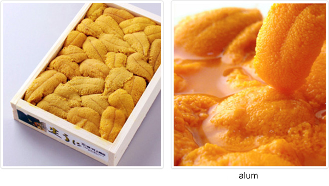 alum