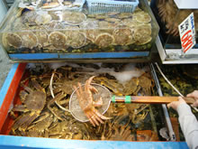 Water tank for crab