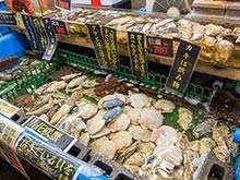 Seafood ingredients are selected from the fish tank and served on the spot.