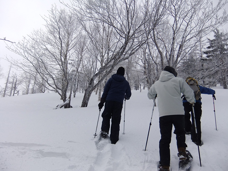 Snow Trekking