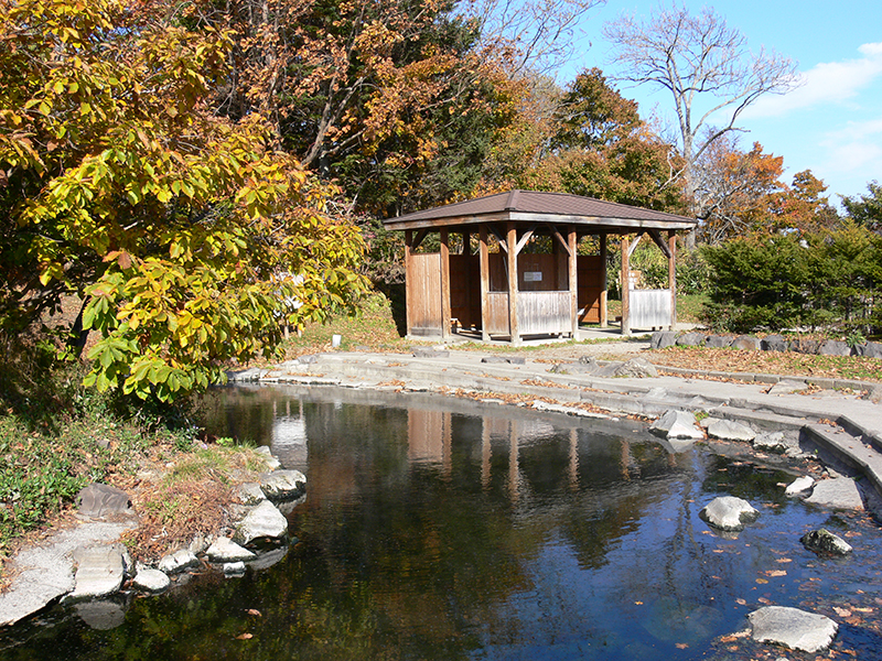 Wakoto Onsen