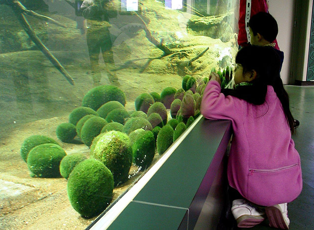 Akan Lakeside Eco Museum Center