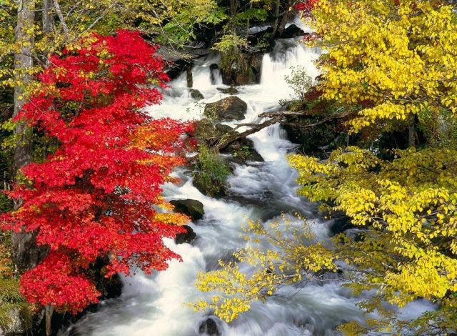 Autumn colours of Lake Akan