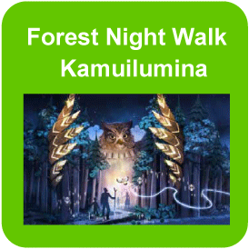 Forest Night Walk Kamuilumina