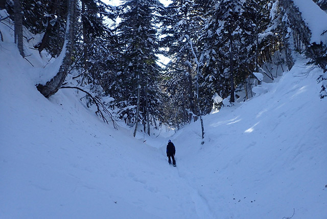 Bokke Walking Trail (Snowshoes)